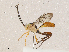  ( - CBG-A04472-F06)  @11 [ ] CreativeCommons - Attribution (2023) CBG Photography Group Centre for Biodiversity Genomics