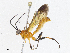  ( - CBG-A04473-D02)  @11 [ ] CreativeCommons - Attribution (2023) CBG Photography Group Centre for Biodiversity Genomics