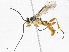  ( - CBG-A04474-C07)  @11 [ ] CreativeCommons - Attribution (2023) CBG Photography Group Centre for Biodiversity Genomics
