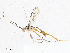  ( - CBG-A04474-D05)  @11 [ ] CreativeCommons - Attribution (2023) CBG Photography Group Centre for Biodiversity Genomics