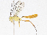  ( - CBG-A04474-F05)  @11 [ ] CreativeCommons - Attribution (2023) CBG Photography Group Centre for Biodiversity Genomics