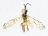  ( - CBG-A06230-E05)  @11 [ ] CreativeCommons - Attribution (2023) CBG Photography Group Centre for Biodiversity Genomics