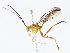  ( - CBG-A07047-D07)  @11 [ ] CreativeCommons - Attribution Share - Alike (2023) CBG Photography Group Centre for Biodiversity Genomics