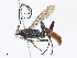  ( - CBG-A07047-D08)  @11 [ ] CreativeCommons - Attribution Share - Alike (2023) CBG Photography Group Centre for Biodiversity Genomics