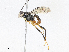  ( - CBG-A07047-E08)  @11 [ ] CreativeCommons - Attribution Share - Alike (2023) CBG Photography Group Centre for Biodiversity Genomics