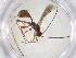  ( - CBG-A08220-D07)  @11 [ ] CreativeCommons - Attribution (2023) Centre for Biodiversity Genomics Centre for Biodiversity Genomics