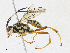  ( - CBG-A10800-E07)  @11 [ ] CreativeCommons - Attribution Share - Alike (2023) CBG Photography Group Centre for Biodiversity Genomics