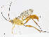  ( - CBG-A10800-F08)  @11 [ ] CreativeCommons - Attribution Share - Alike (2023) CBG Photography Group Centre for Biodiversity Genomics
