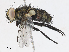  ( - CBG-A10801-D02)  @11 [ ] CreativeCommons - Attribution Share - Alike (2023) CBG Photography Group Centre for Biodiversity Genomics
