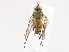  ( - CBG-A10801-G01)  @11 [ ] CreativeCommons - Attribution Share - Alike (2023) CBG Photography Group Centre for Biodiversity Genomics