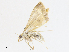  ( - CBG-A10802-D05)  @11 [ ] CreativeCommons - Attribution Share - Alike (2023) CBG Photography Group Centre for Biodiversity Genomics