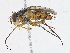  ( - CBG-A13265-D02)  @11 [ ] CreativeCommons - Attribution Share - Alike (2023) CBG Photography Group Centre for Biodiversity Genomics