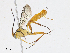  ( - CBG-A13265-E04)  @11 [ ] CreativeCommons - Attribution Share - Alike (2023) CBG Photography Group Centre for Biodiversity Genomics