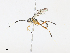  (cryptJanzen01 Malaise1849 - CBG-A13265-E09)  @11 [ ] CreativeCommons - Attribution Share - Alike (2023) CBG Photography Group Centre for Biodiversity Genomics