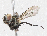  ( - CBG-A02856-C05)  @11 [ ] CreativeCommons - Attribution (2023) CBG Photography Group Centre for Biodiversity Genomics