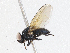  ( - CBG-A02856-D02)  @11 [ ] CreativeCommons - Attribution (2023) CBG Photography Group Centre for Biodiversity Genomics