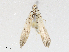  (spiloBioLep01 BioLep8436 - CBG-A02856-E04)  @11 [ ] CreativeCommons - Attribution (2023) CBG Photography Group Centre for Biodiversity Genomics