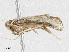  ( - CBG-A02856-E08)  @11 [ ] CreativeCommons - Attribution (2023) CBG Photography Group Centre for Biodiversity Genomics