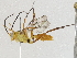  ( - CBG-A04466-G02)  @11 [ ] CreativeCommons - Attribution (2023) CBG Photography Group Centre for Biodiversity Genomics