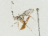  ( - CBG-A04466-H01)  @11 [ ] CreativeCommons - Attribution (2023) CBG Photography Group Centre for Biodiversity Genomics