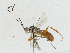  ( - CBG-A04466-H04)  @11 [ ] CreativeCommons - Attribution (2023) CBG Photography Group Centre for Biodiversity Genomics