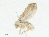  ( - CBG-A04469-G01)  @11 [ ] CreativeCommons - Attribution (2023) CBG Photography Group Centre for Biodiversity Genomics