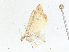  ( - CBG-A04469-G02)  @11 [ ] CreativeCommons - Attribution (2023) CBG Photography Group Centre for Biodiversity Genomics