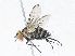  ( - CBG-A04469-G08)  @11 [ ] CreativeCommons - Attribution (2023) CBG Photography Group Centre for Biodiversity Genomics