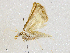  ( - CBG-A04471-G05)  @11 [ ] CreativeCommons - Attribution (2023) CBG Photography Group Centre for Biodiversity Genomics