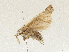  ( - CBG-A04471-G11)  @11 [ ] CreativeCommons - Attribution (2023) CBG Photography Group Centre for Biodiversity Genomics