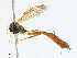  ( - CBG-A04588-A01)  @11 [ ] CreativeCommons - Attribution (2023) CBG Photography Group Centre for Biodiversity Genomics