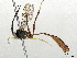 ( - CBG-A04588-A04)  @11 [ ] CreativeCommons - Attribution (2023) CBG Photography Group Centre for Biodiversity Genomics
