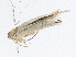  ( - CBG-A04588-F03)  @11 [ ] CreativeCommons - Attribution (2023) CBG Photography Group Centre for Biodiversity Genomics