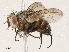  ( - CBG-A04591-B05)  @11 [ ] CreativeCommons - Attribution (2023) CBG Photography Group Centre for Biodiversity Genomics