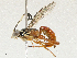  ( - CBG-A04591-G11)  @11 [ ] CreativeCommons - Attribution (2023) CBG Photography Group Centre for Biodiversity Genomics