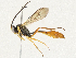  ( - CBG-A04591-H06)  @11 [ ] CreativeCommons - Attribution (2023) CBG Photography Group Centre for Biodiversity Genomics