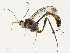  ( - CBG-A04591-H07)  @11 [ ] CreativeCommons - Attribution (2023) CBG Photography Group Centre for Biodiversity Genomics