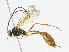  ( - CBG-A04592-C01)  @11 [ ] CreativeCommons - Attribution (2023) CBG Photography Group Centre for Biodiversity Genomics