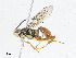  ( - CBG-A04592-C04)  @11 [ ] CreativeCommons - Attribution (2023) CBG Photography Group Centre for Biodiversity Genomics