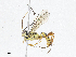  ( - CBG-A04592-C05)  @11 [ ] CreativeCommons - Attribution (2023) CBG Photography Group Centre for Biodiversity Genomics
