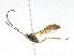  ( - CBG-A04593-G09)  @11 [ ] CreativeCommons - Attribution (2023) CBG Photography Group Centre for Biodiversity Genomics