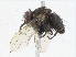  ( - CBG-A06230-C03)  @11 [ ] CreativeCommons - Attribution (2023) CBG Photography Group Centre for Biodiversity Genomics