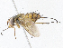  ( - CBG-A07048-C12)  @11 [ ] CreativeCommons - Attribution Share - Alike (2023) CBG Photography Group Centre for Biodiversity Genomics