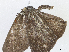  ( - CBG-A07049-B07)  @11 [ ] CreativeCommons - Attribution Share - Alike (2023) CBG Photography Group Centre for Biodiversity Genomics