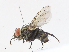  ( - CBG-A07049-F01)  @11 [ ] CreativeCommons - Attribution Share - Alike (2023) CBG Photography Group Centre for Biodiversity Genomics