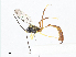  ( - CBG-A07050-B09)  @11 [ ] CreativeCommons - Attribution Share - Alike (2023) CBG Photography Group Centre for Biodiversity Genomics