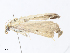  ( - CBG-A07052-C12)  @11 [ ] CreativeCommons - Attribution Share - Alike (2023) CBG Photography Group Centre for Biodiversity Genomics