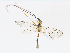  ( - CBG-A07052-D10)  @11 [ ] CreativeCommons - Attribution Share - Alike (2023) CBG Photography Group Centre for Biodiversity Genomics