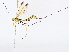  ( - CBG-A07052-D11)  @11 [ ] CreativeCommons - Attribution Share - Alike (2023) CBG Photography Group Centre for Biodiversity Genomics
