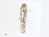  ( - CBG-A07053-D03)  @11 [ ] CreativeCommons - Attribution Share - Alike (2023) CBG Photography Group Centre for Biodiversity Genomics